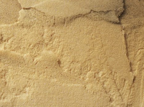 Pourquoi choisir des isolants biosourcés ?
